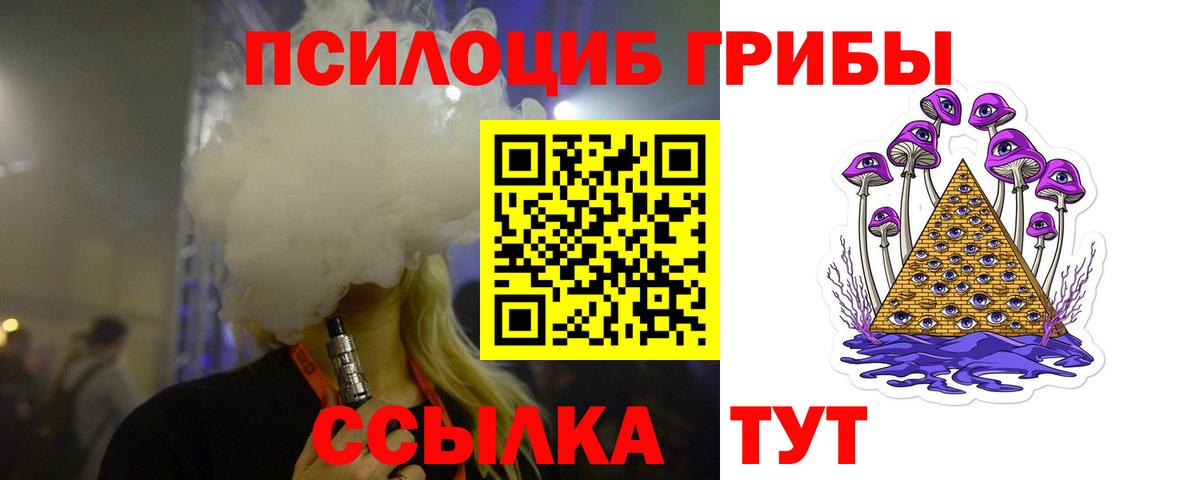 Псилоцибиновые грибы Cubensis  Вход с VPN  Нерюнгри  Псилоцибиновые грибы Psilocybe 
