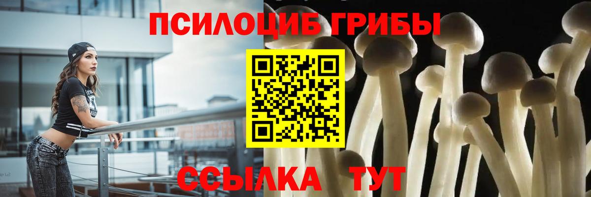 Галлюциногенные грибы прущие грибы Нерюнгри